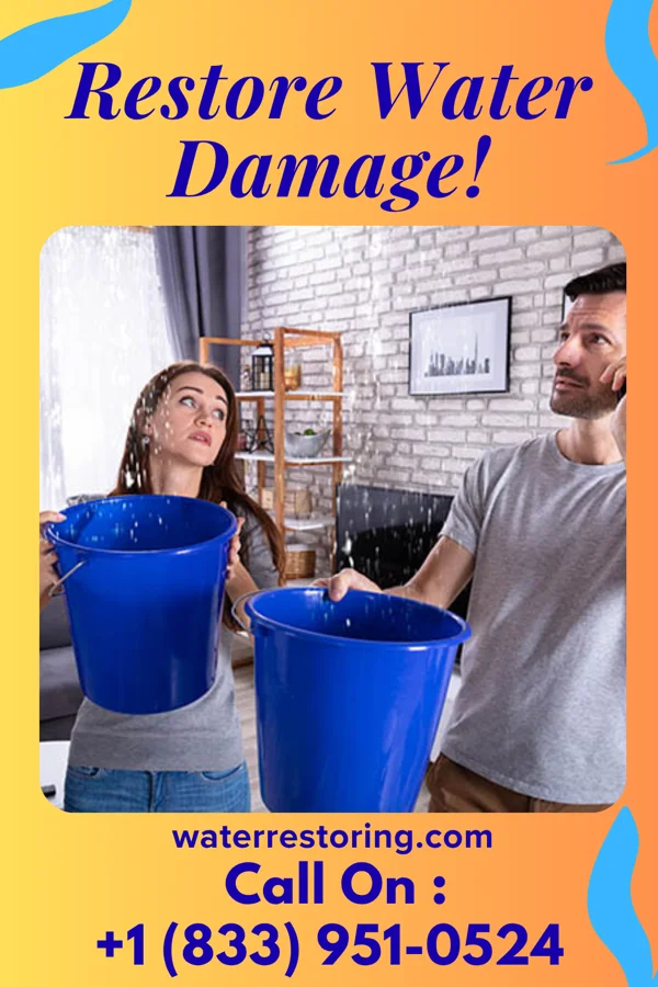 water restoration Best Water Damage Florence